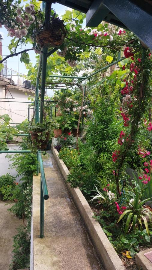 Relax Guesthouse จีโรคาสเตอร์ ภายนอก รูปภาพ